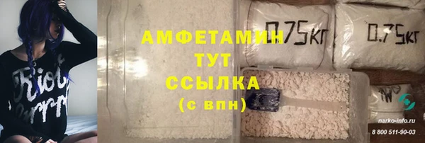 дмт Алексин