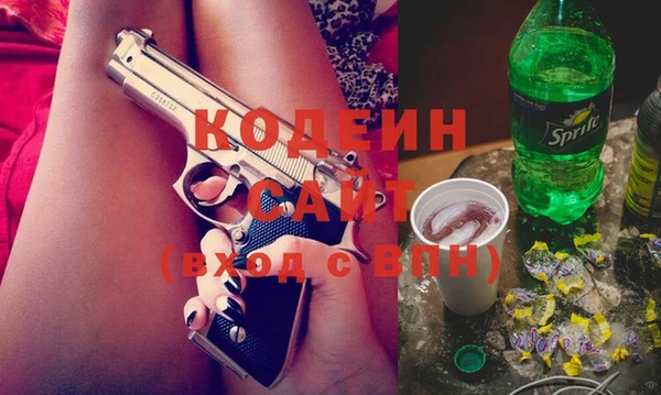 шишки Алзамай