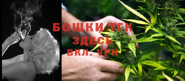 дмт Алексин